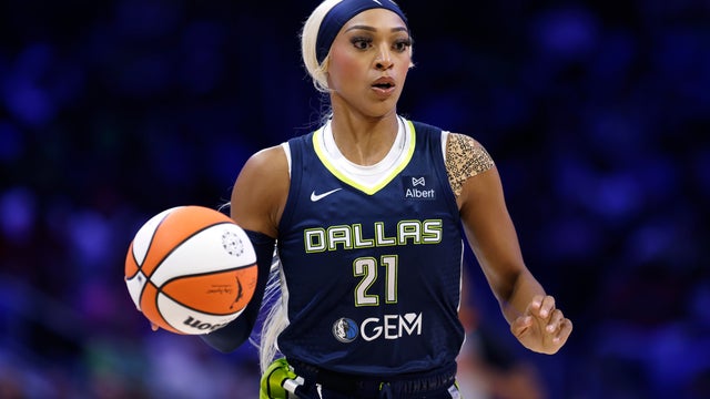 Fever Wings Basketball 