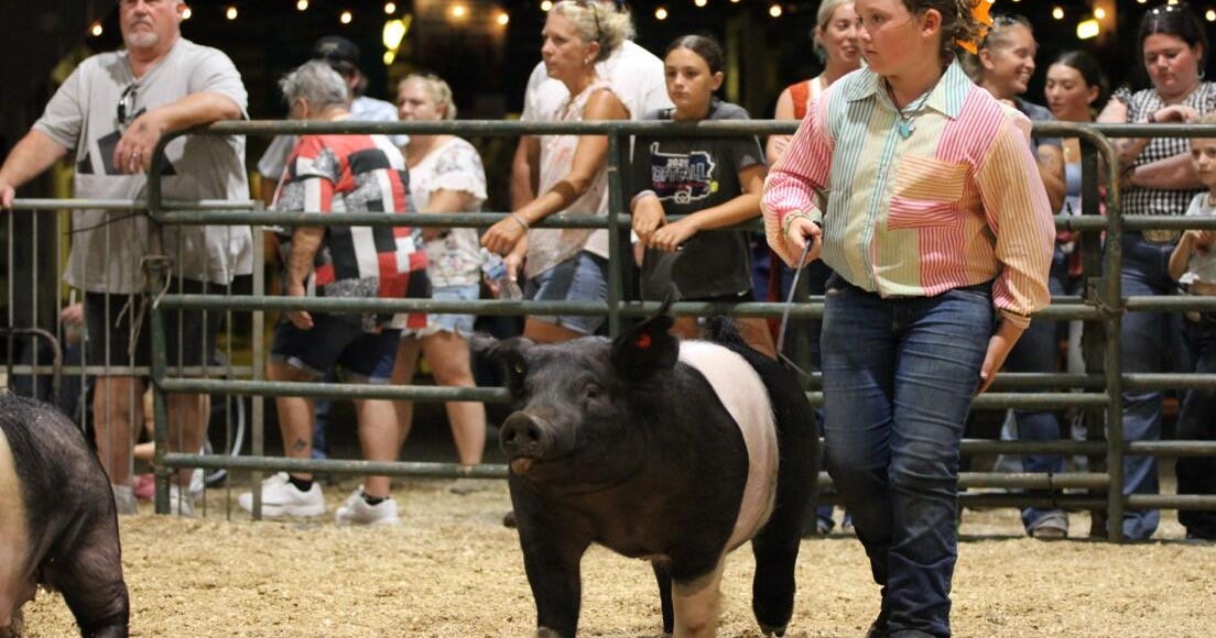 9-year-old at Fayette County Fair donates pig sale proceeds to help build new barn 