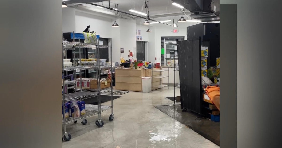 Kensington's Greater Goods, a free grocery store, closes after apartment fire 