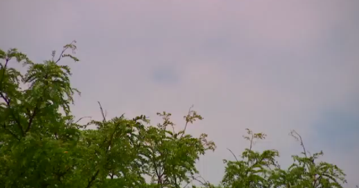 Air quality to remain poor across Michigan through Monday 
