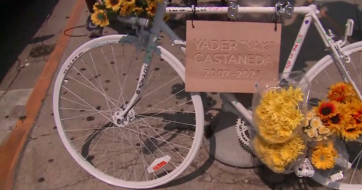 Ghost bike set up for teen who was struck, killed in downtown Chicago 