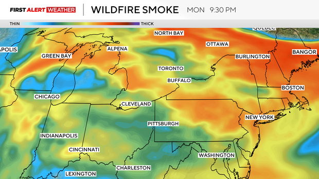 wildfire.png 