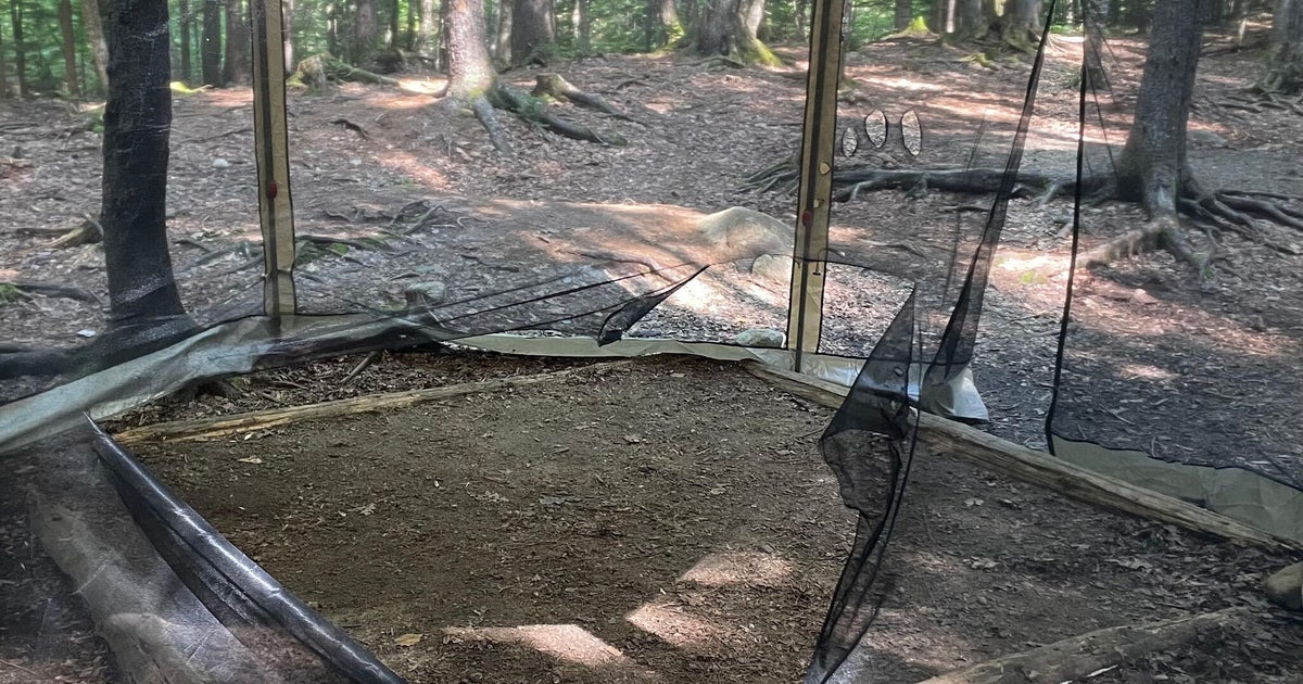 Bear's "escalating behavior" closes campsite in New Hampshire 