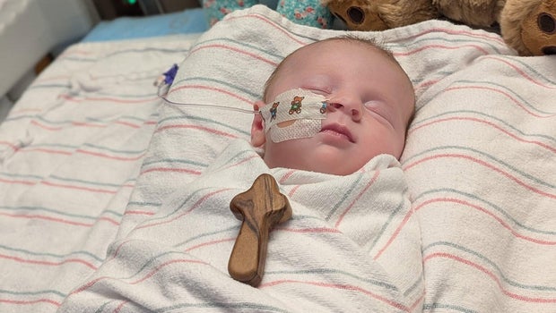Massachusetts Infant Hospitalized With Suspected Powassan Virus