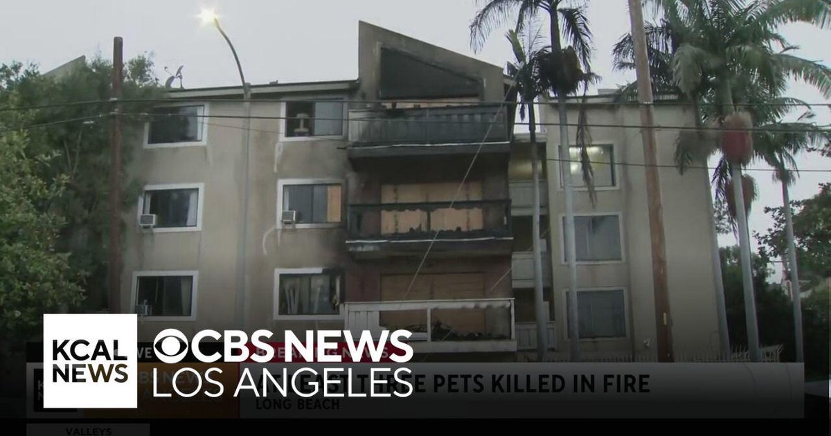 Two Cats, Dog Killed in Long Beach Apartment Fire