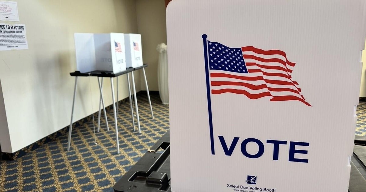 Special Michigan Senate primary taking place Tuesday in Saginaw Bay area