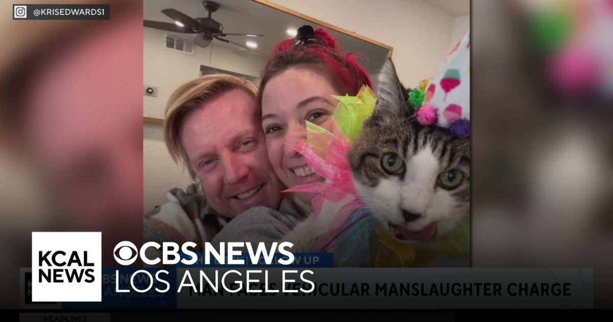 Arrest made in Hollywood hit-and-run crash that left 37-year-old woman ...