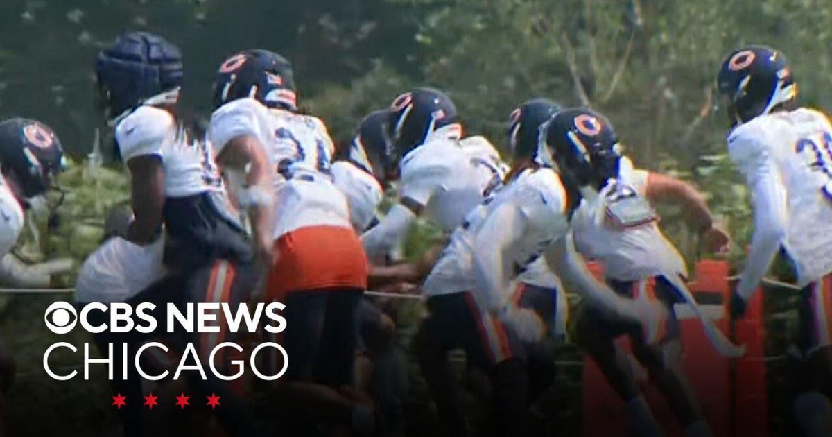 Practice gets physical at Bears training camp - CBS Chicago