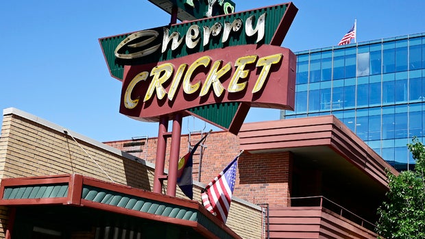 Cherry Cricket 