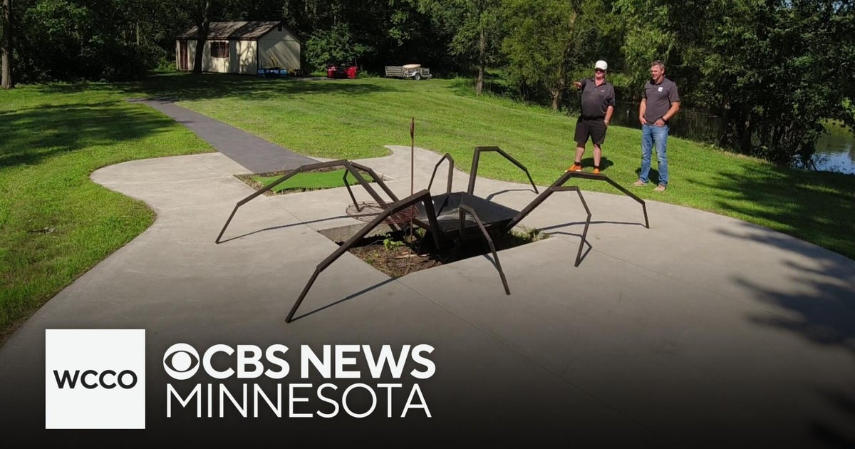 Minnesota man transforms backyard into tribute to rock and roll