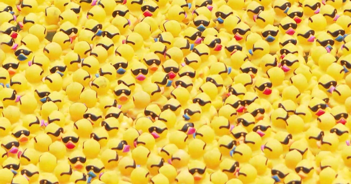 Chicago Ducky Derby splashes down in the Chicago River today 