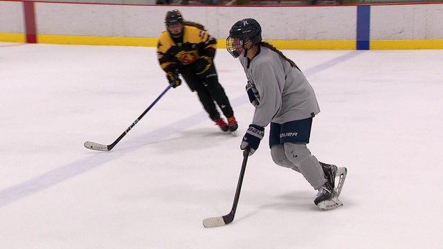 hockey1.jpg 