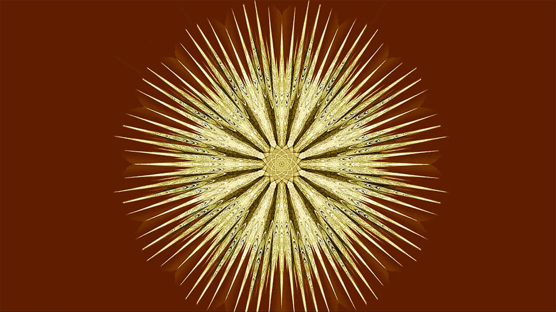 This week on "Sunday Morning" (August 10)