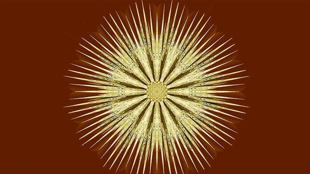 passage-c-sun.jpg 