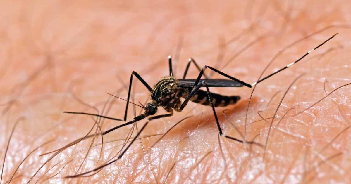 Michigan health officials confirm first West Nile virus human case in 2025 