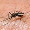 Map shows West Nile virus cases as officials warn season isn't over
