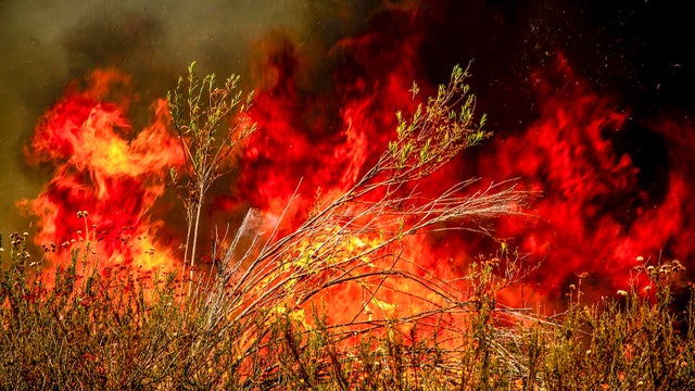 Wildfire-Rages-Through-Los-Padres-Forest 