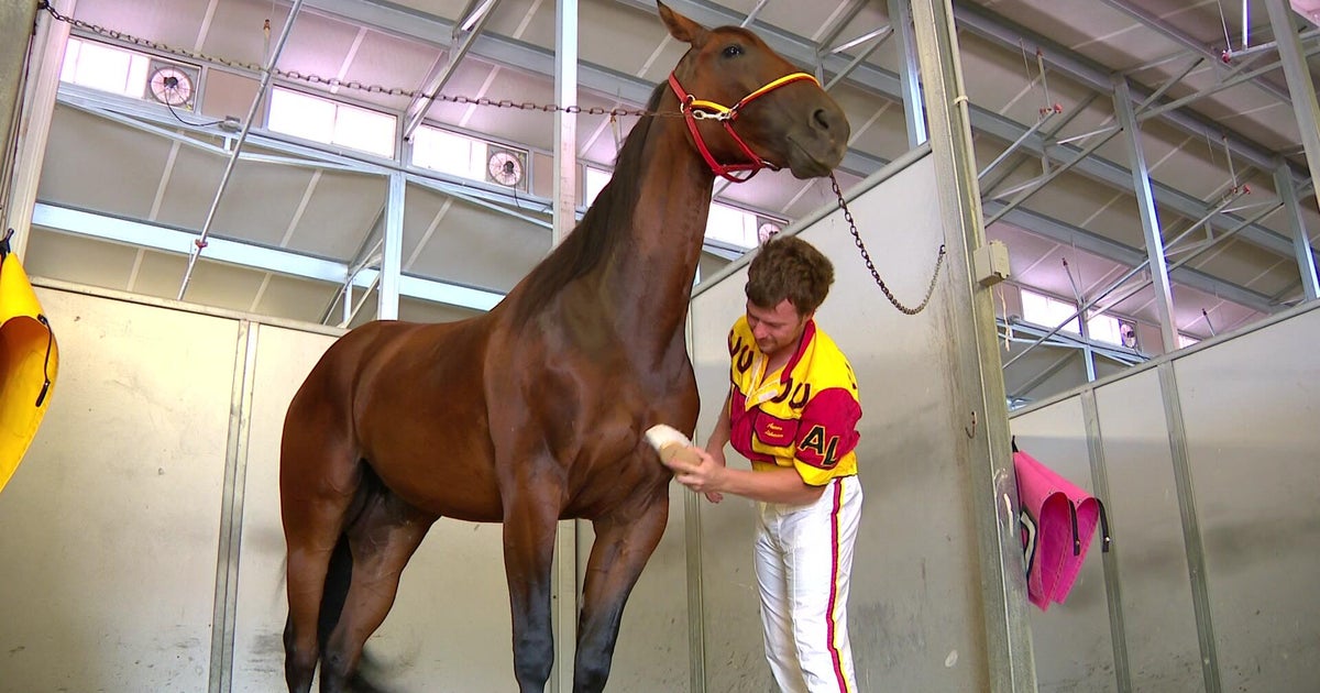 Minnesota horse races to best record in North America this season 