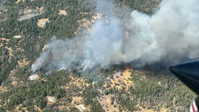 ponderosa-fire.png 