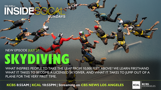 skydiving-web-gfx.png 