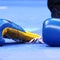 2 Japanese boxers died from brain injuries after separate bouts at the same event