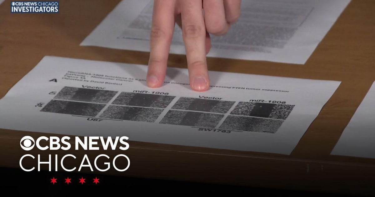 Fake scientific papers are a growing problem, Northwestern U ...
