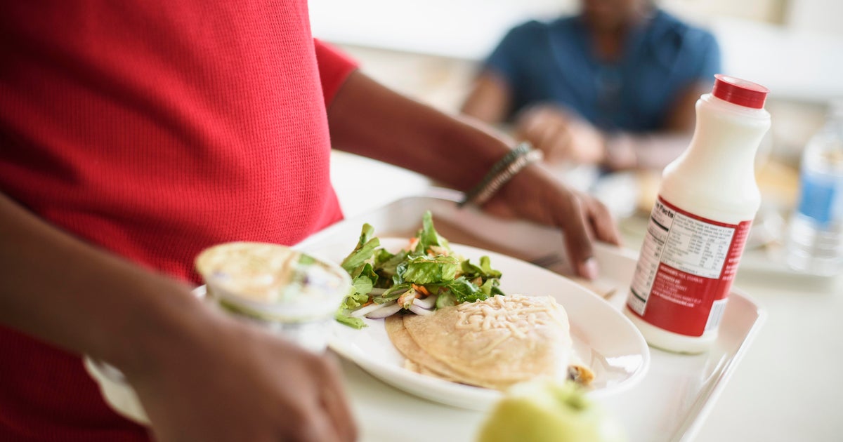 Who will get free school meals in Michigan schools this year? 