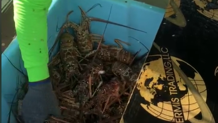 fishermen.png 