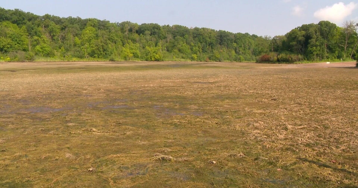 Alice Lake drained due to "mechanical issue" 
