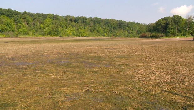 Mechanical Failure Drains Lake Alice at William O'Brien State Park