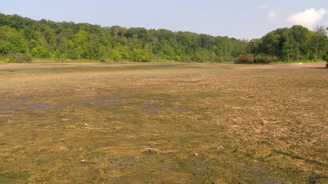 mon-raw-lake-alice-drained-drone-and-broll-thurston-081125-00-03-0229.jpg 