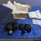 Man admits smuggling 850 protected turtles worth $1.4 million