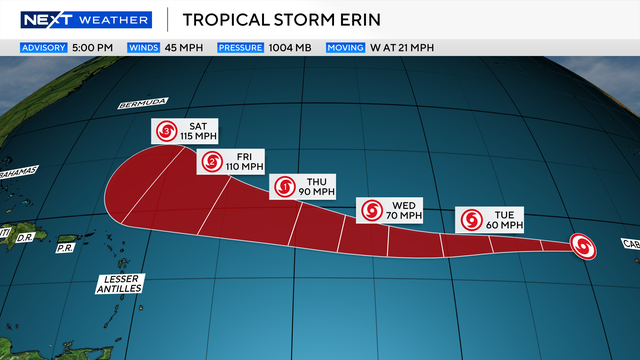 erinnew.png 