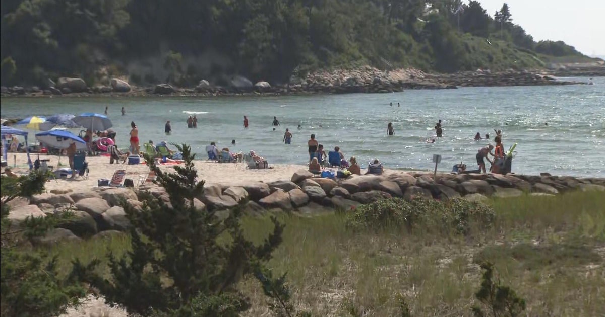 Bacteria that can cause "flesh-eating" disease found on Cape Cod 
