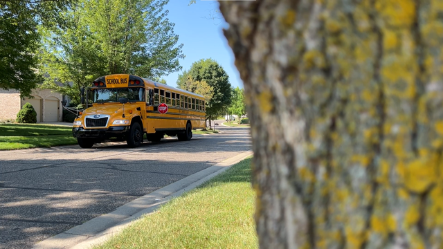 bus-1.png 