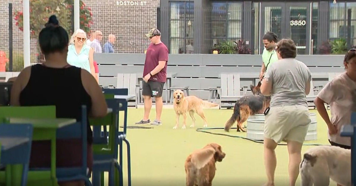 Dog-friendly bar in Baltimore reopens under new ownership after abrupt closure 