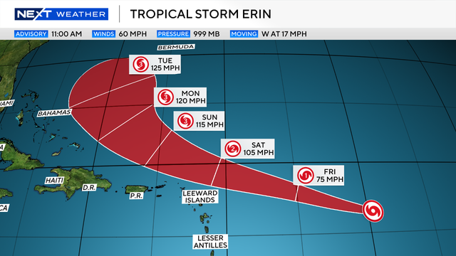 ts-erin-11-am.png 