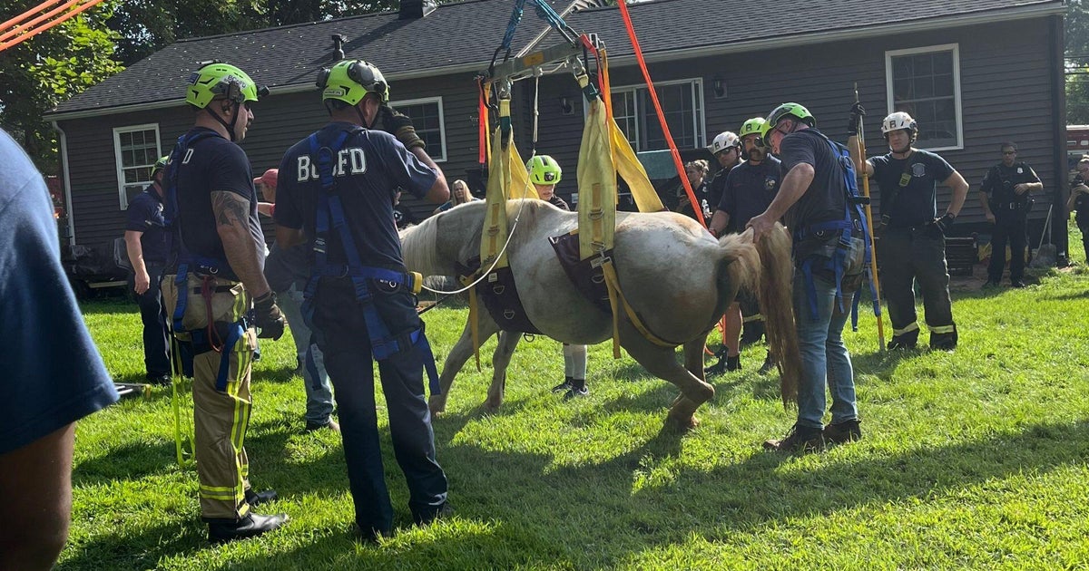 Horse rescued after falling into a hole in Baltimore County, fire officials say 