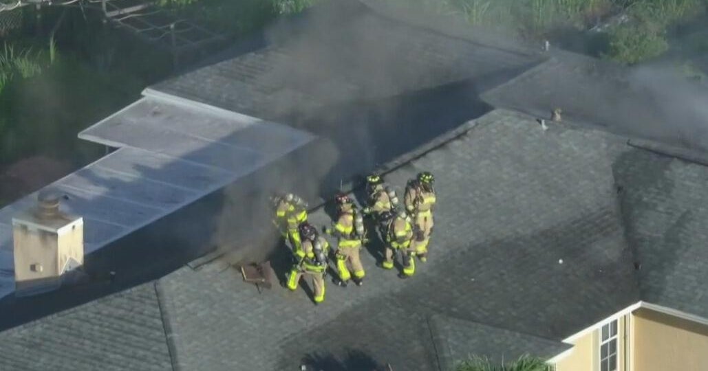 Dog rescued from house fire near Homestead, two cats didn’t survive