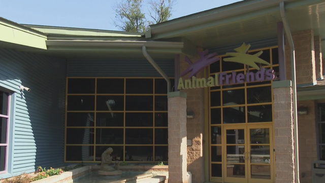 animalfriends.png 