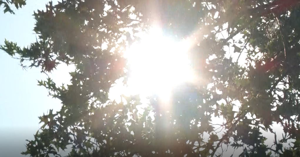 Maryland's 29 recorded heat-related deaths is the state's most in more than a decade 