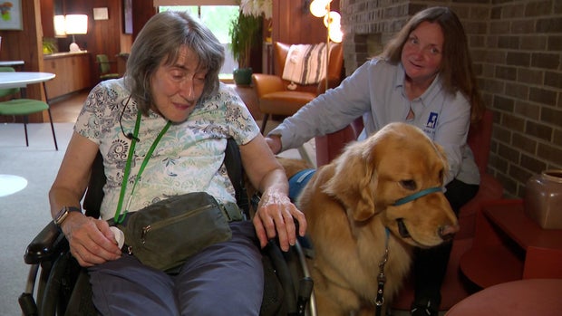 530p-pkg-dogs-visit-dementia-patients-wcco8isr-00-00-1710.jpg