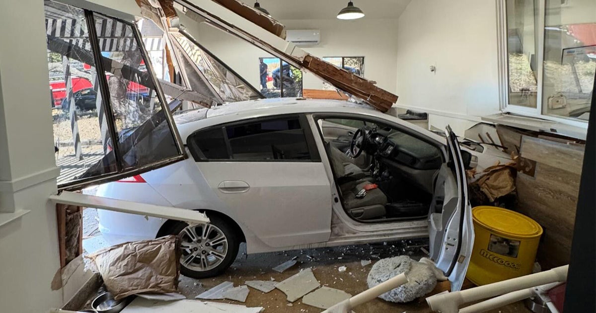 Car crashes into Oakdale animal rescue, killing one cat and letting several escape 