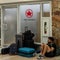 Air Canada service still disrupted after striking flight attendants defy return-to-work order