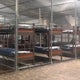 Attorneys demand better legal access for "Alligator Alcatraz" detainees 