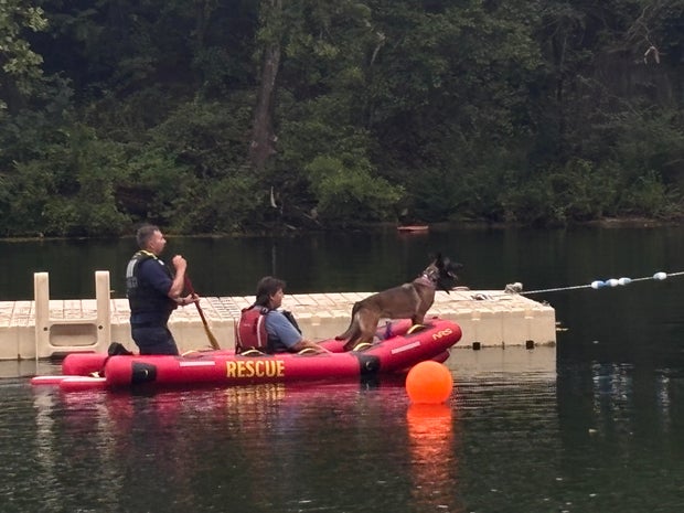 Baltimore County Maryland Beaver Dam Swimming Club Recovery Effort 