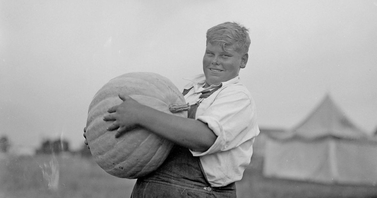 How did the Minnesota State Fair end up at its current location?