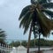 Hurricane Erin to bring dangerous rip currents to U.S. East Coast