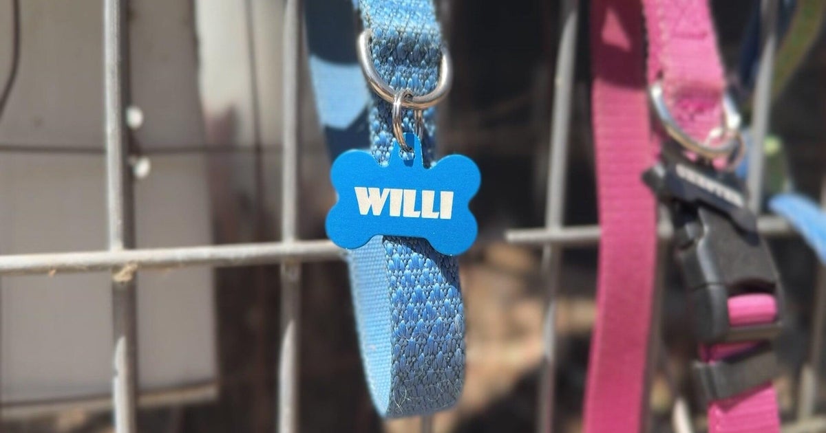 Northern California shelter starts memory gate to ensure beloved pets are never forgotten 