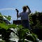 Green spaces crucial to combating record heat in marginalized communities